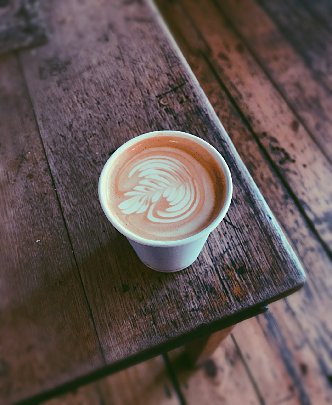 Flat white with feathered rosetta latte art in a takeaway cup on a weathered wooden bench